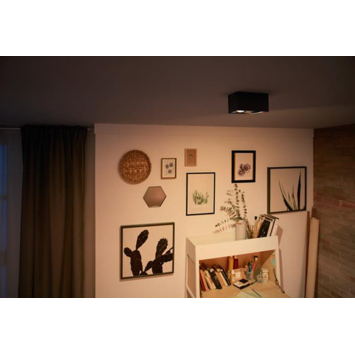 Philips opbouwspot MyLiving Box LED Zwart 2 x 4.5W