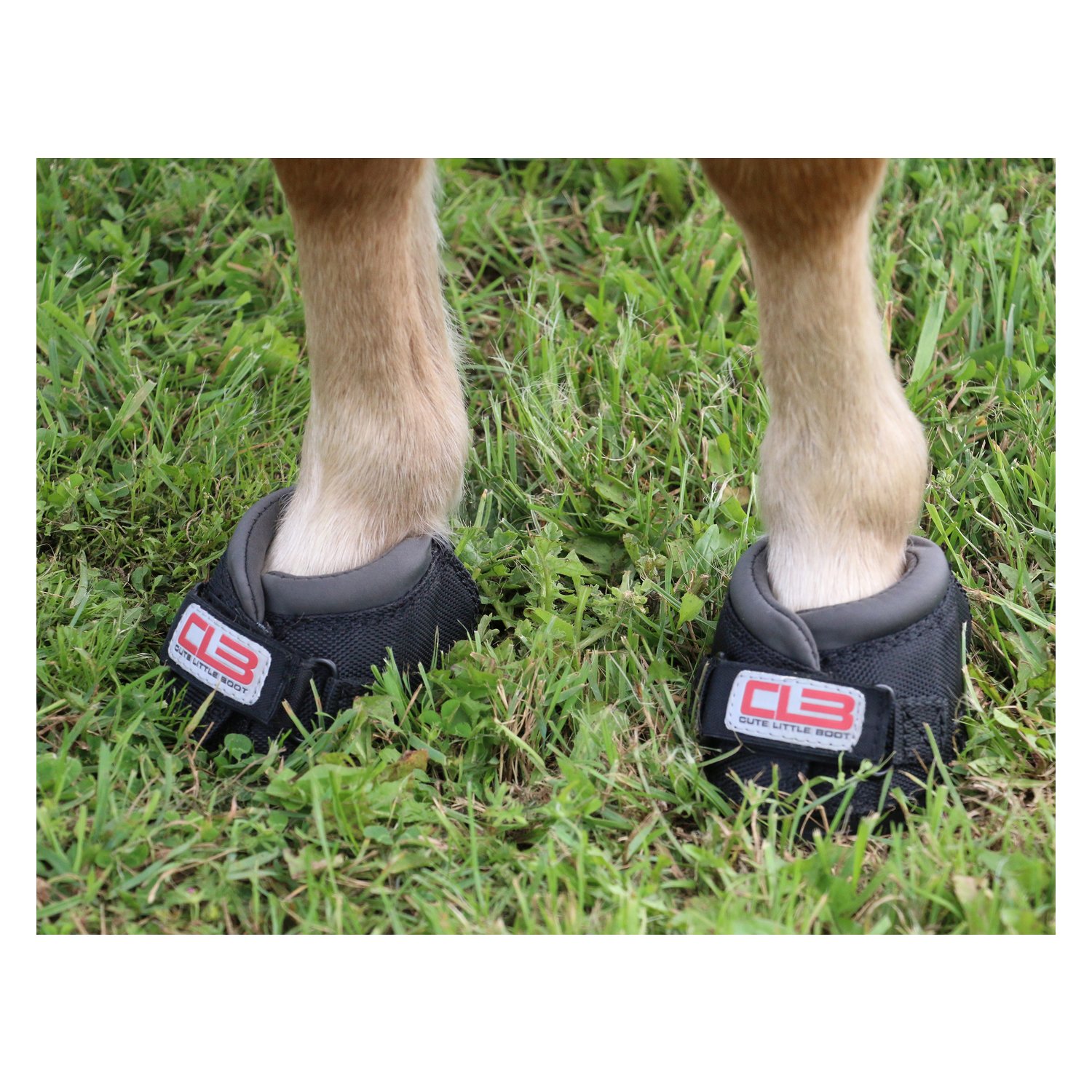 Cavallo Horse and Rider Hufschuh Cute Little Boot, für Shettys  - schwarz
