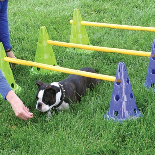 Kit de agilidade e coordenação para cães