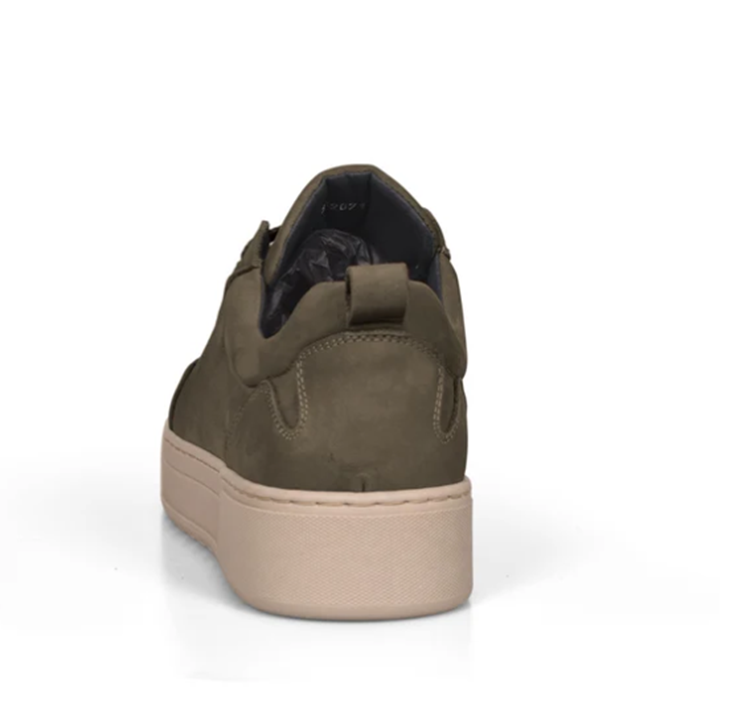 Cycleur de luxe CDLM252072 Groen