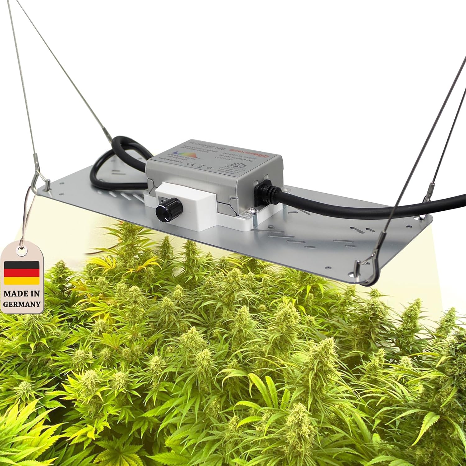 by Crescience FLUXshield Habibi 150 cSpec Enhanced dimmbare Vollspektrum Grow Pflanzenlampe, 55W, made in Deutschland, mit hochwertigen LED Chips, Netherlands Amsterdam,für Fläche 40-60 cm²