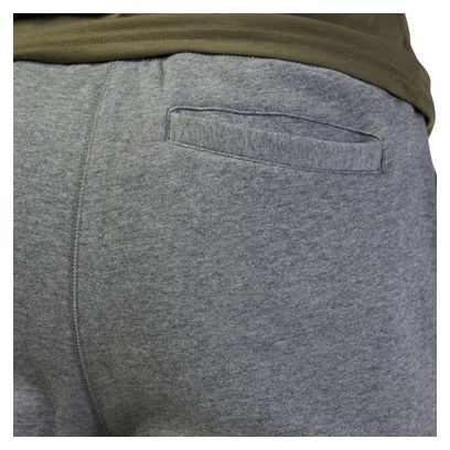 Jogging Fox Head Gris clair