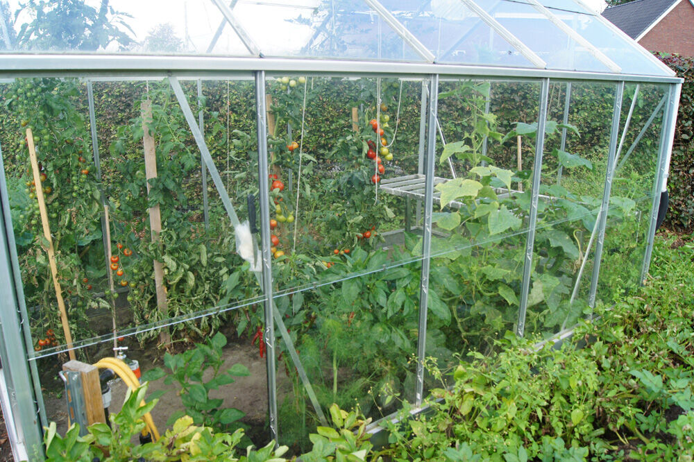 Halls Popular 106 - Tuinkas - Zilver - 195x193x319 cm - Tuindersglas