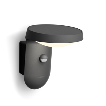 Philips wandlamp buiten Tyla 2700K 9W