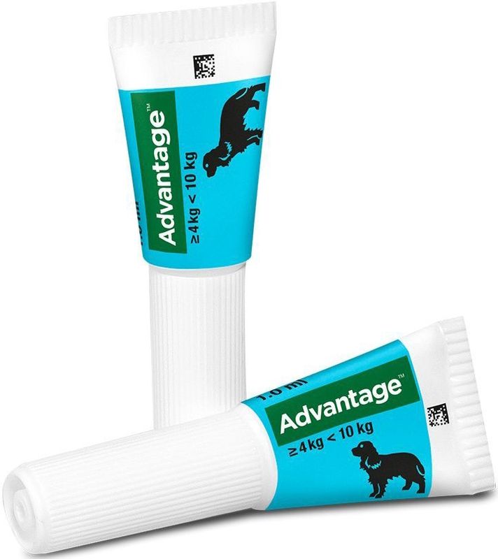 4 Pipetten Advantage 100 voor honden van 4-10kg - BE