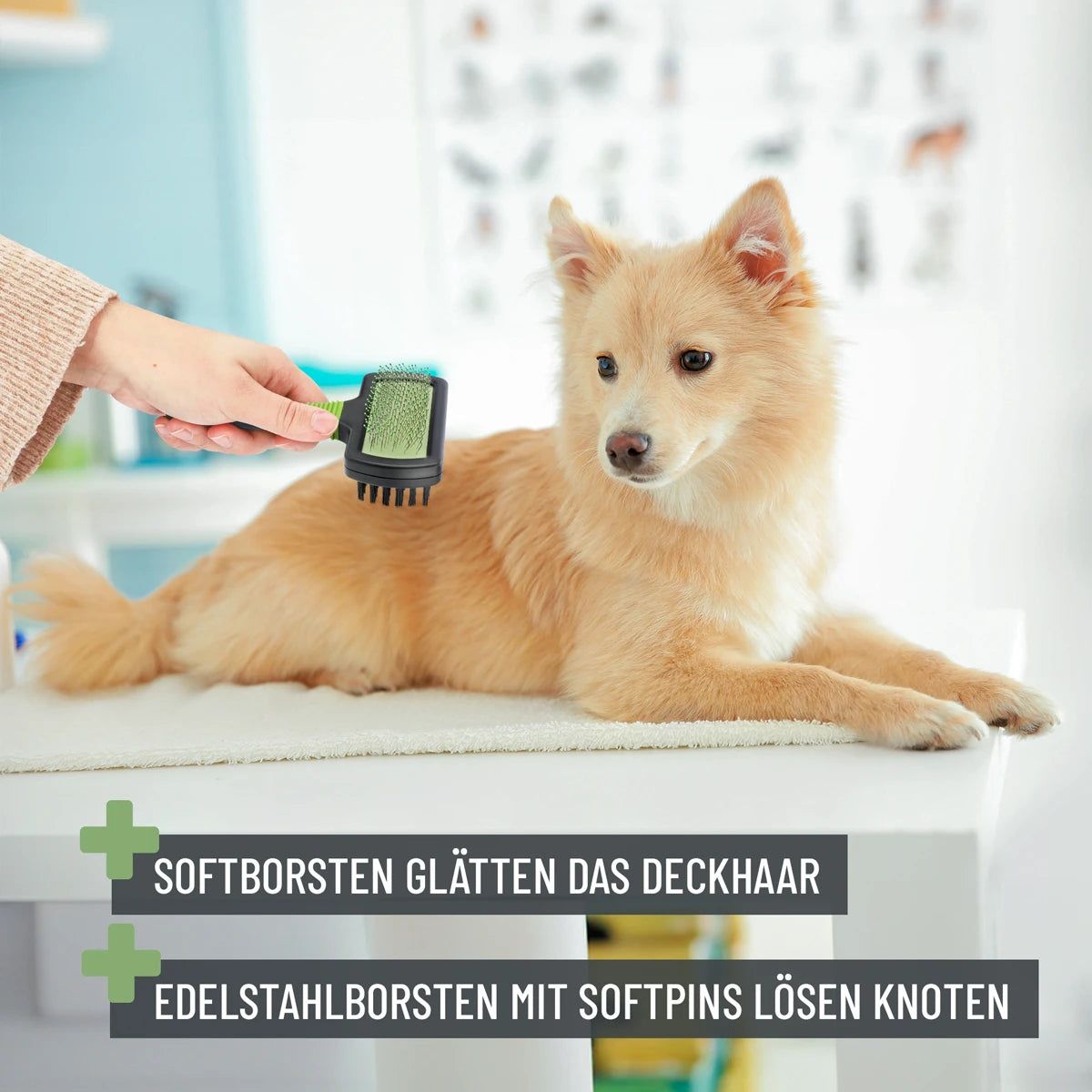 Zupfbürste 2in1 - ReaVET