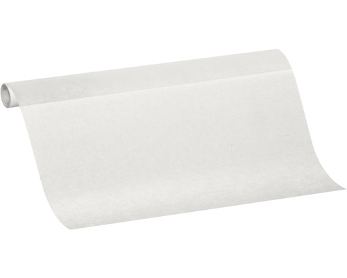MODULAN schilderglasvlies 3565000060-03 45 g/m² 1x25 m