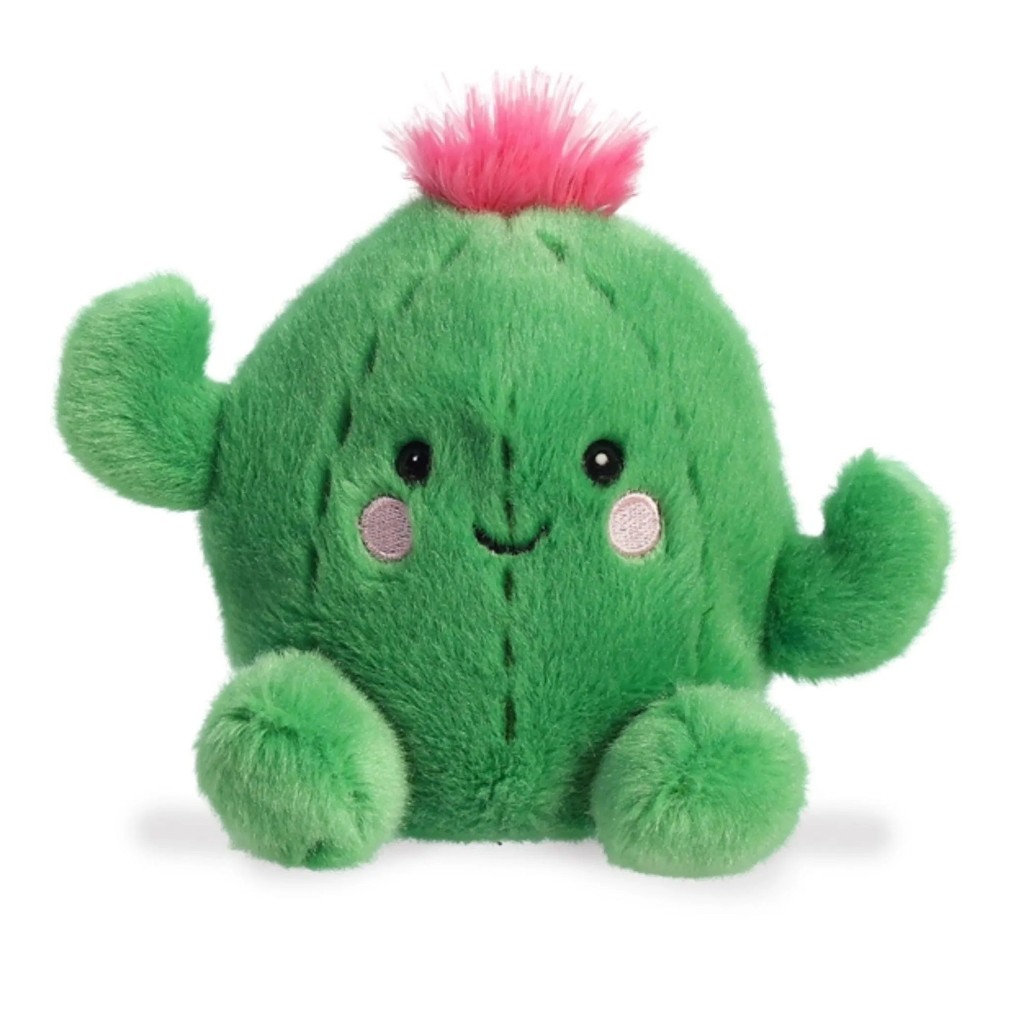 Aurora Cactus Souriant 5