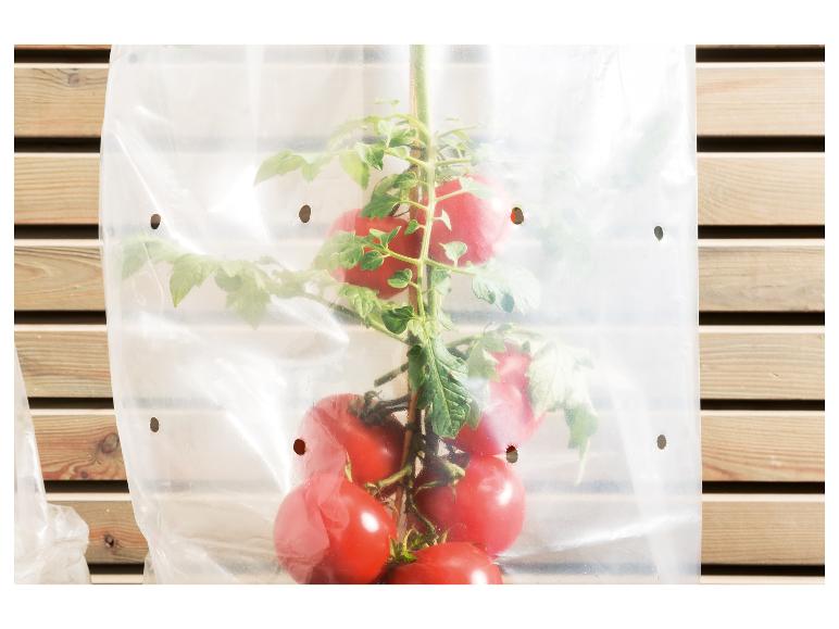 Beschermfolie voor planten en struiken
