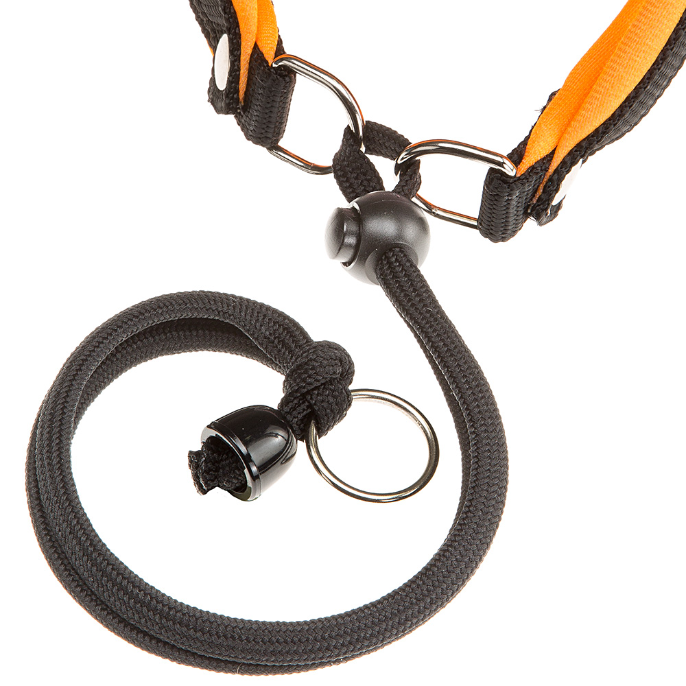Ferplast harnais ergonomique pour chiens agila fluo 1, ajustement parfait, fermeture pratique avec lacet, rembourrage souple, a=b