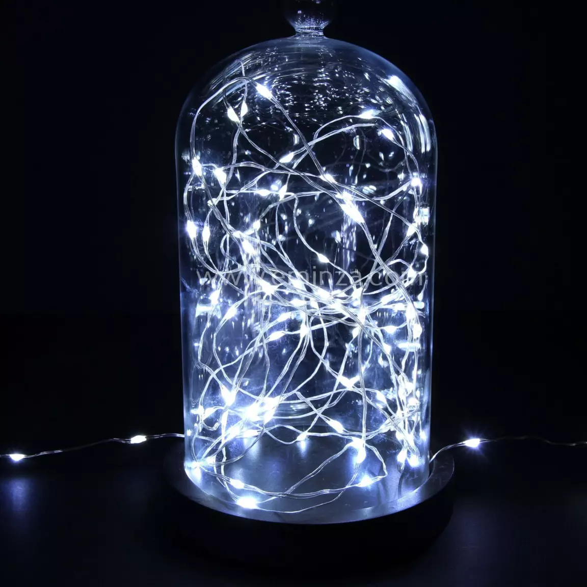 Guirlande lumineuse 11,90 m 120 Micro LED câble transparent Blanc froid