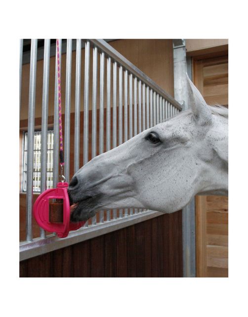 Bizzy Lick Bizzy Bal - Liksteenhouder - Paardenspeelgoed - Roze