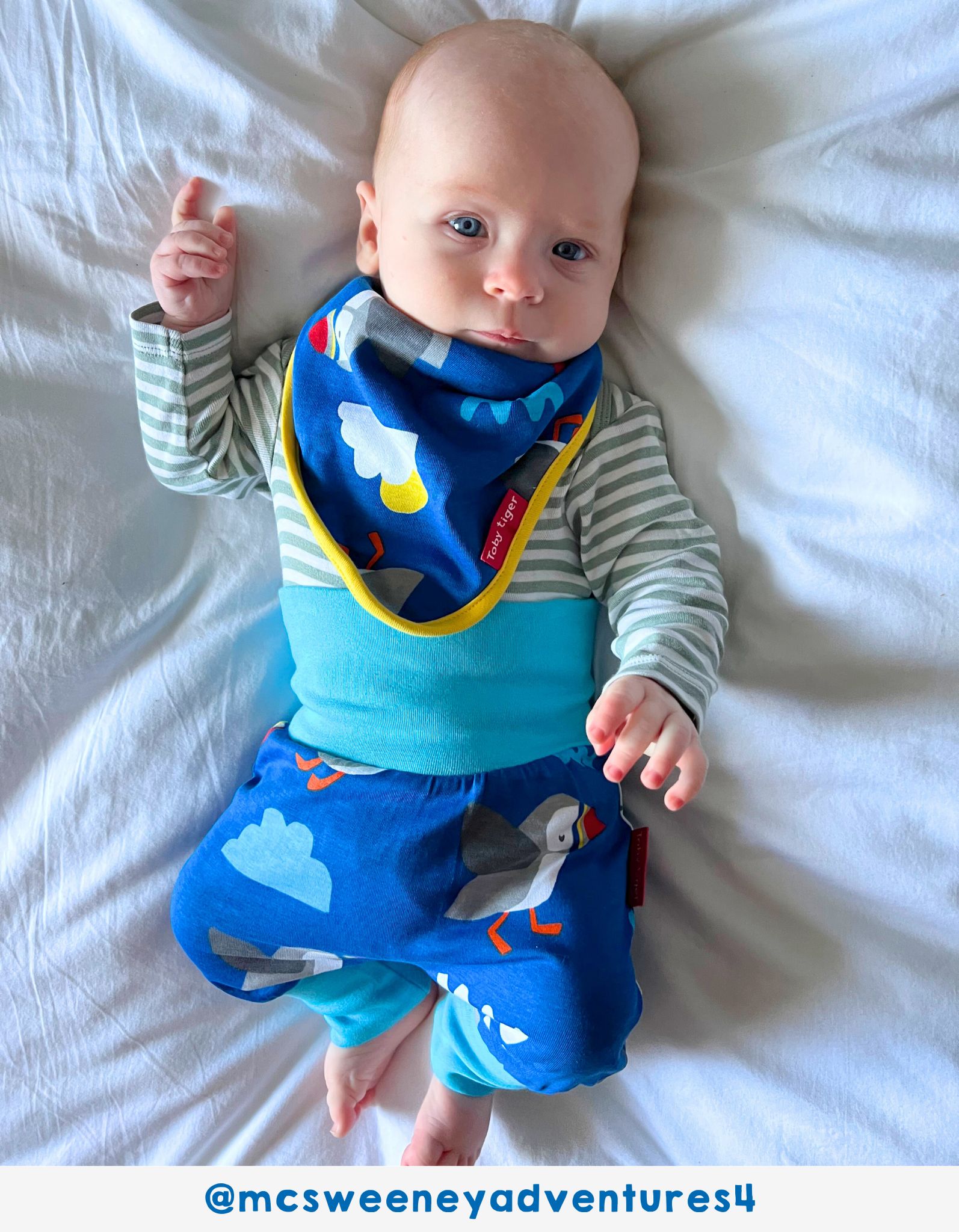 Toby Tiger Dreieckstuch, Lätzchen mit Papageientaucher-Druck