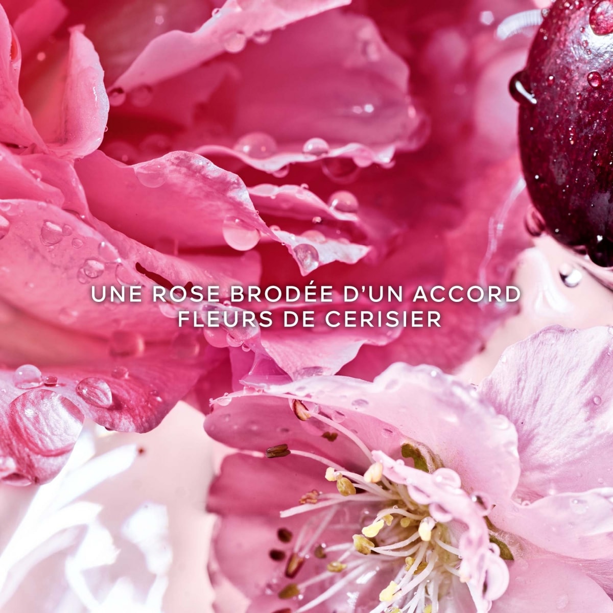 GUERLAIN La Petite Robe Noire Rose Cherry Eau de Parfum