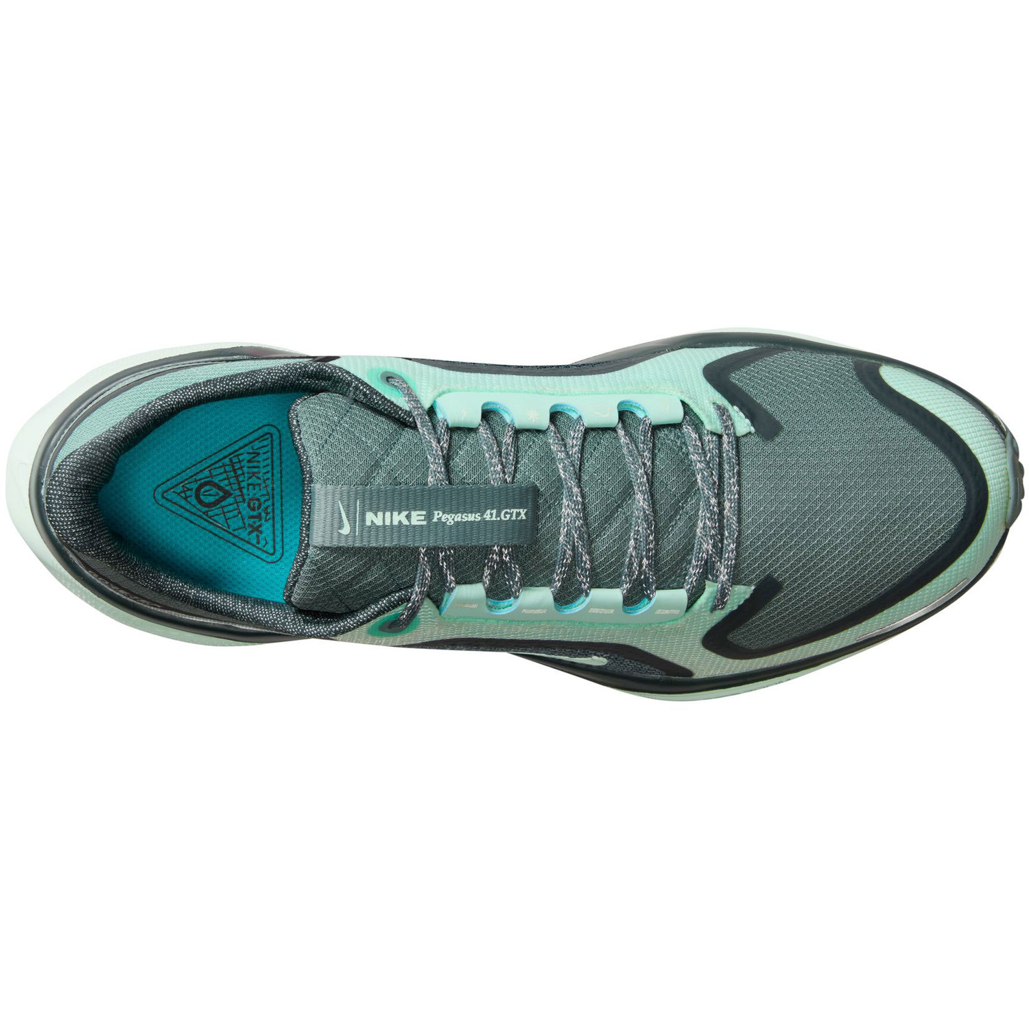 Nike Pegasus 41 GTX Dames