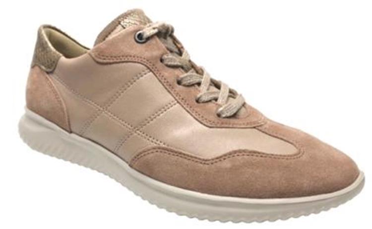 Hartjes 162.1143/31 Wijdte G Rose combi