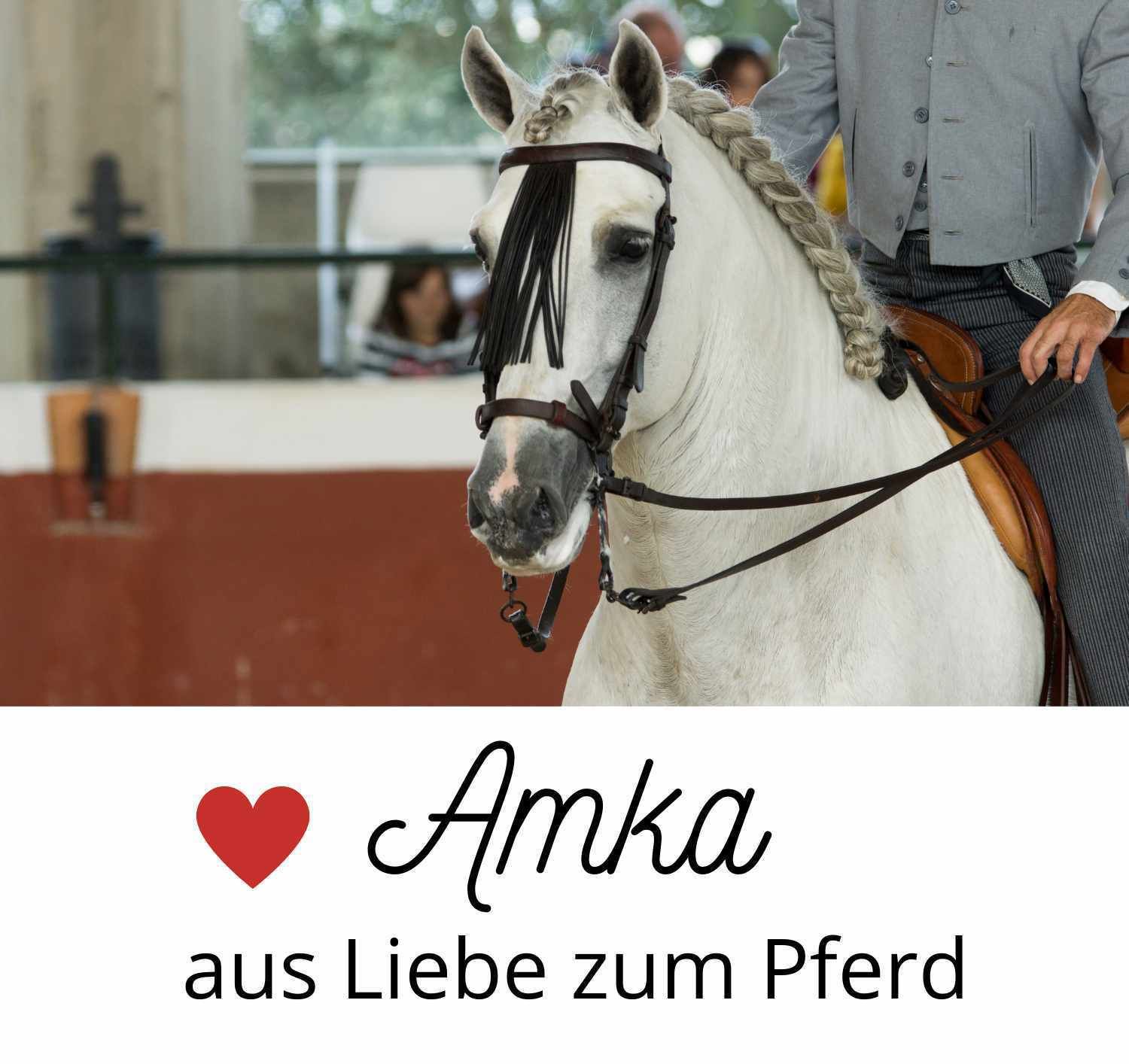AMKA Vorderzeug portugiesisch