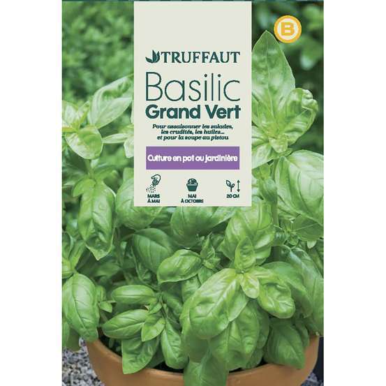 Graines de basilic grand'vert en sachet