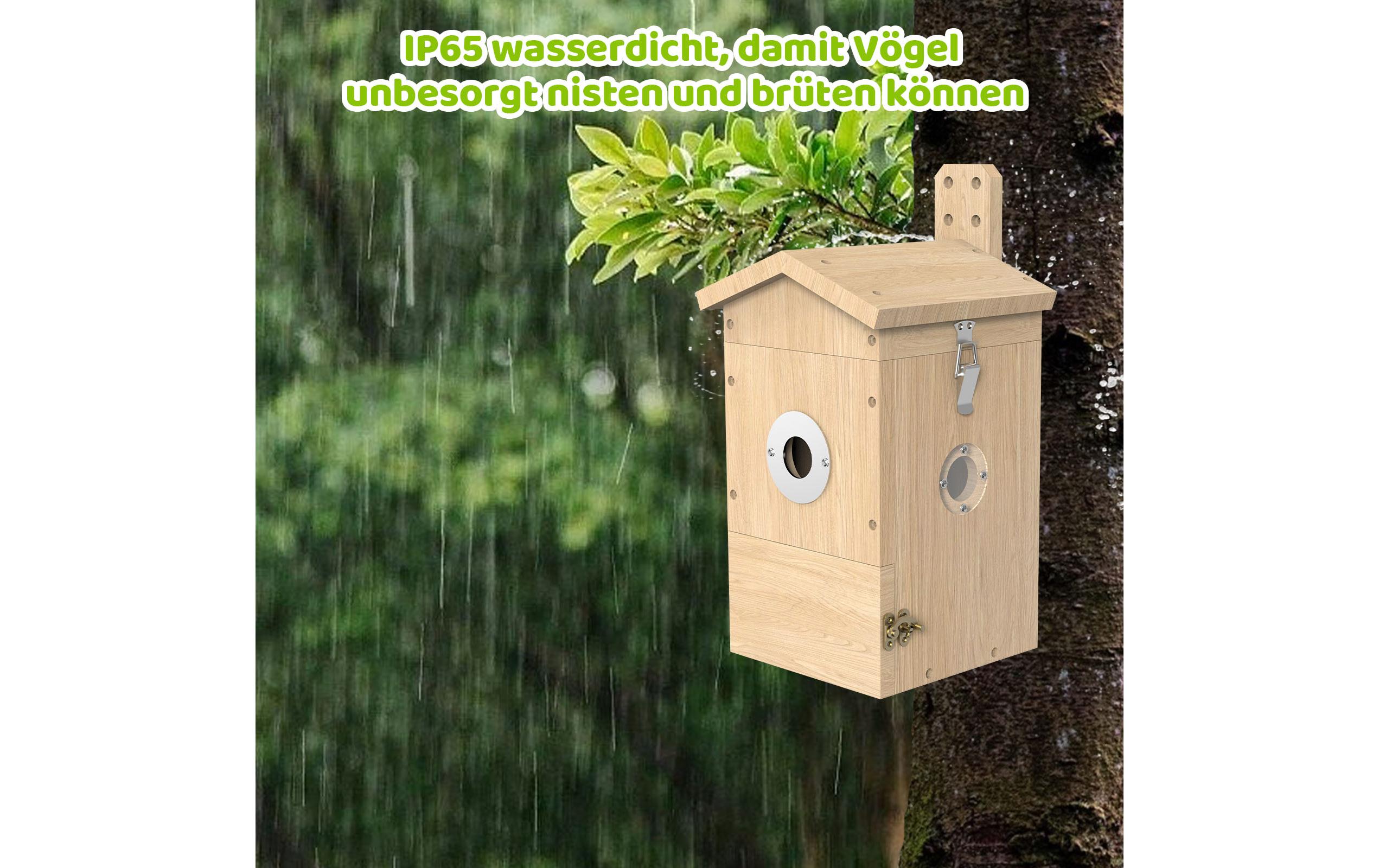 Vogel Nistkasten mit Kamera, Solarpanel inklusive<br>Nistkasten aus Holz mit Sonnenkollektor