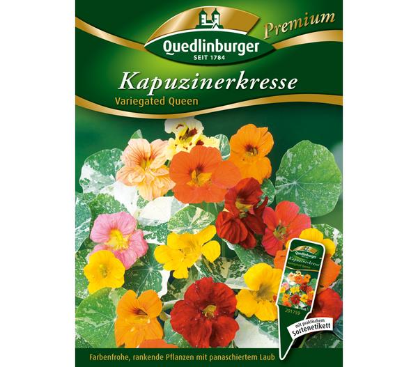 Quedlinburger Samen Kapuzinerkresse