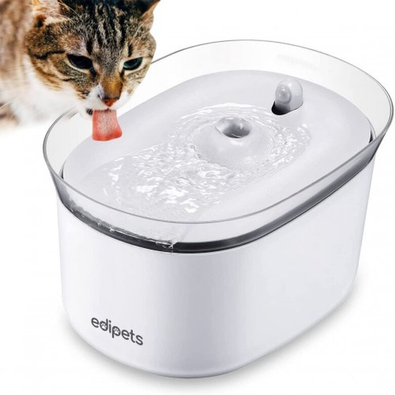 Fonte de água automática Edipets com sensor de movimento para gatos, branca.