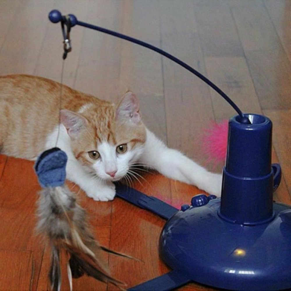 Jouet electronique raptor - h 34 cm - bleu - pour chat