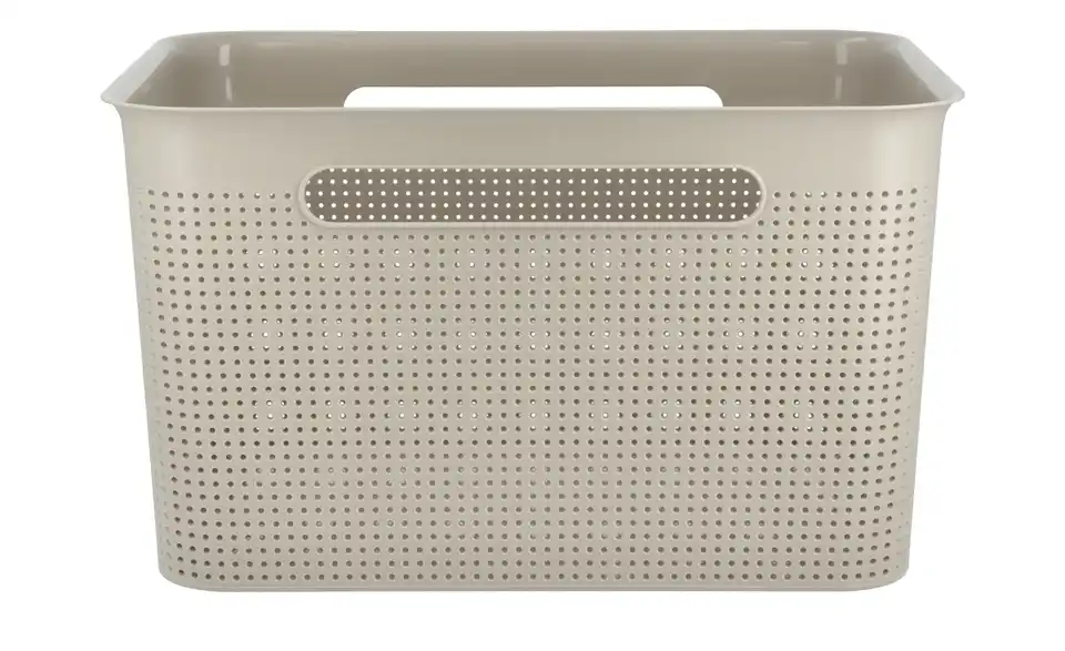 Rotho Aufbewahrungsbox 36 cm