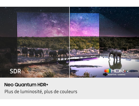 SAMSUNG - TV Neo QLED 4K 163 cm TQ65QN90F - 120Hz - Vision AI 2025