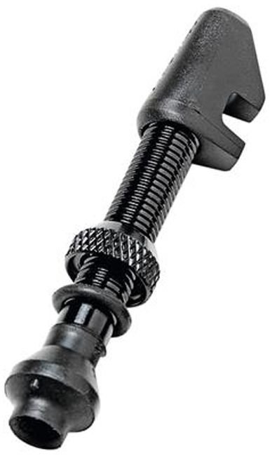 DT Swiss Tubelessventil Alu kaufen | Bike-Discount