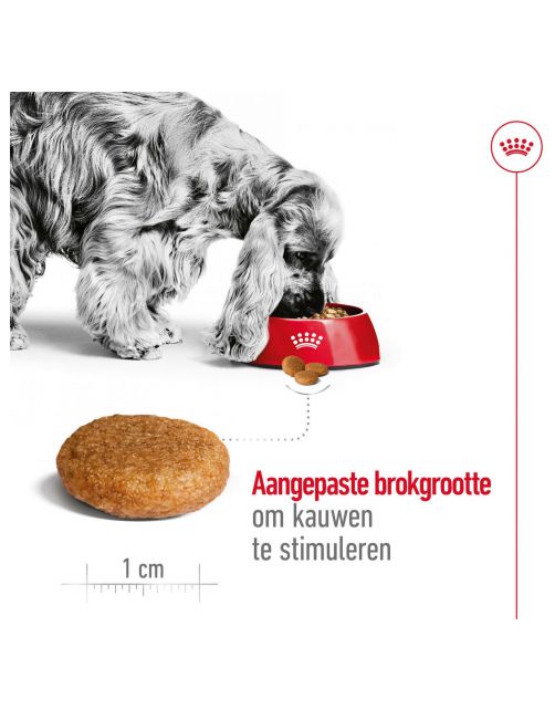 Royal Canin Medium Adult - Hondenvoer