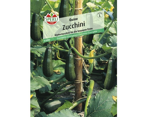 Courgette Quine Sperli Hybride Zaden Groentezaden