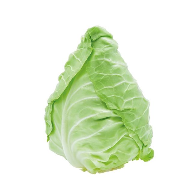 Dagverse Spitskool per stuk