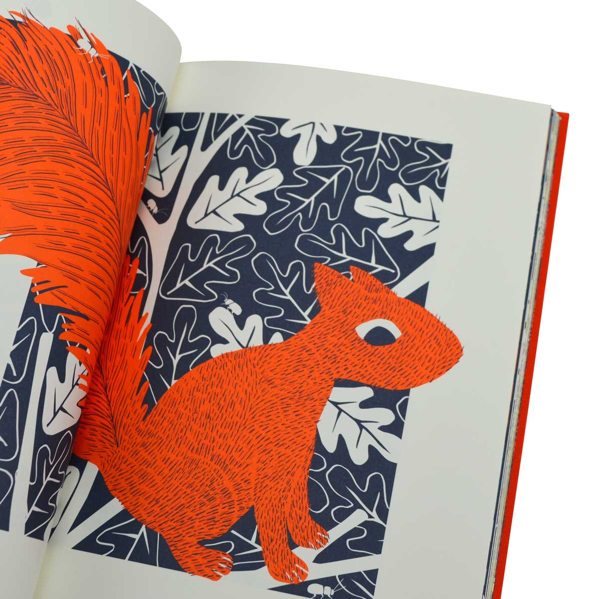 The Squirrel and the Lost Treasure (Hardback)