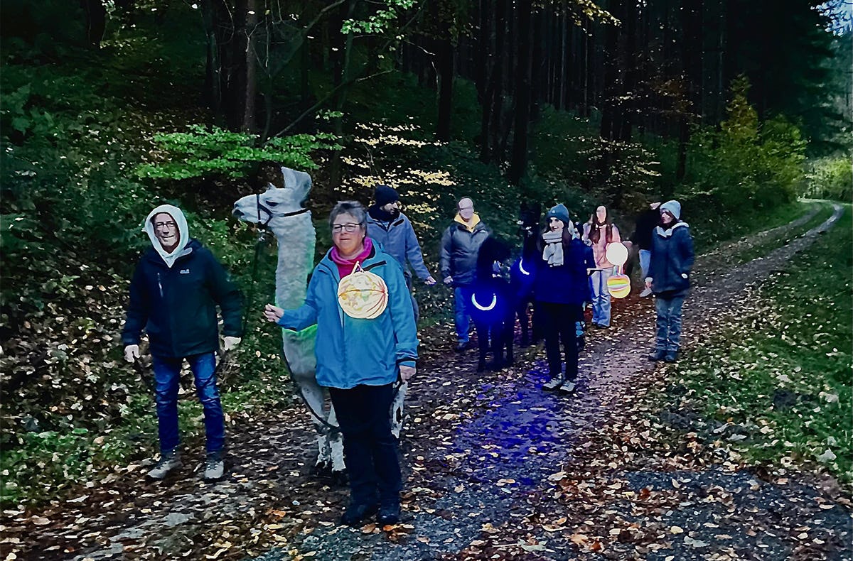 Laternenwanderung mit Alpakas für 2 Neckargerach
