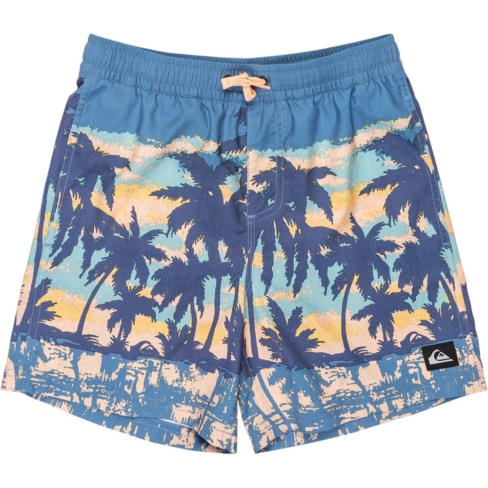 Quiksilver Everyday Straight Volley Badeshorts Jungen coronet blue tropicamo