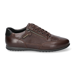 leon  RANDY 6158/ 6100  DARK BROWN