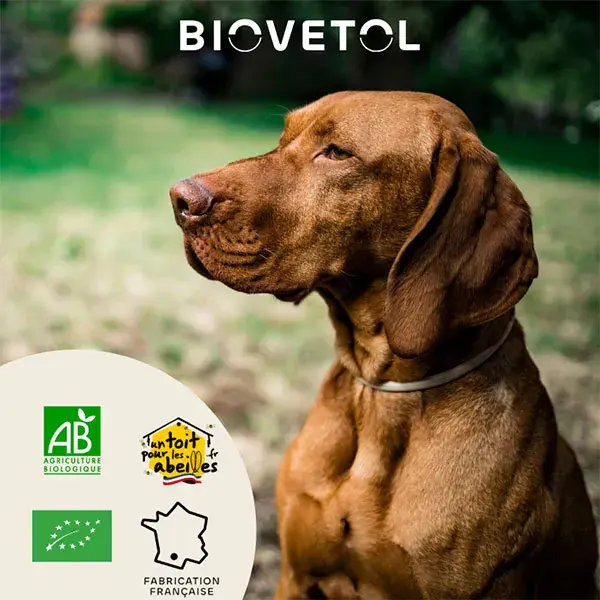 Biovetol - Poudre Detox'Plus Bio Grand Chien >10kg - 104g
