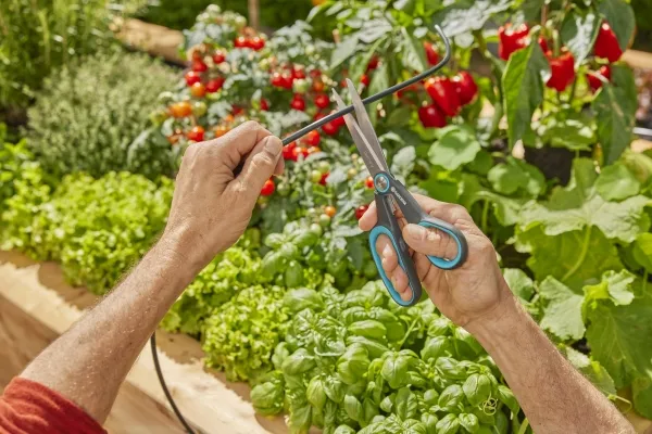 Gardena AquaBloom L solcelledrevet vandingssæt