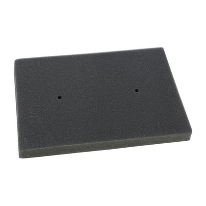 Filtre à air Emgo Type Adaptable