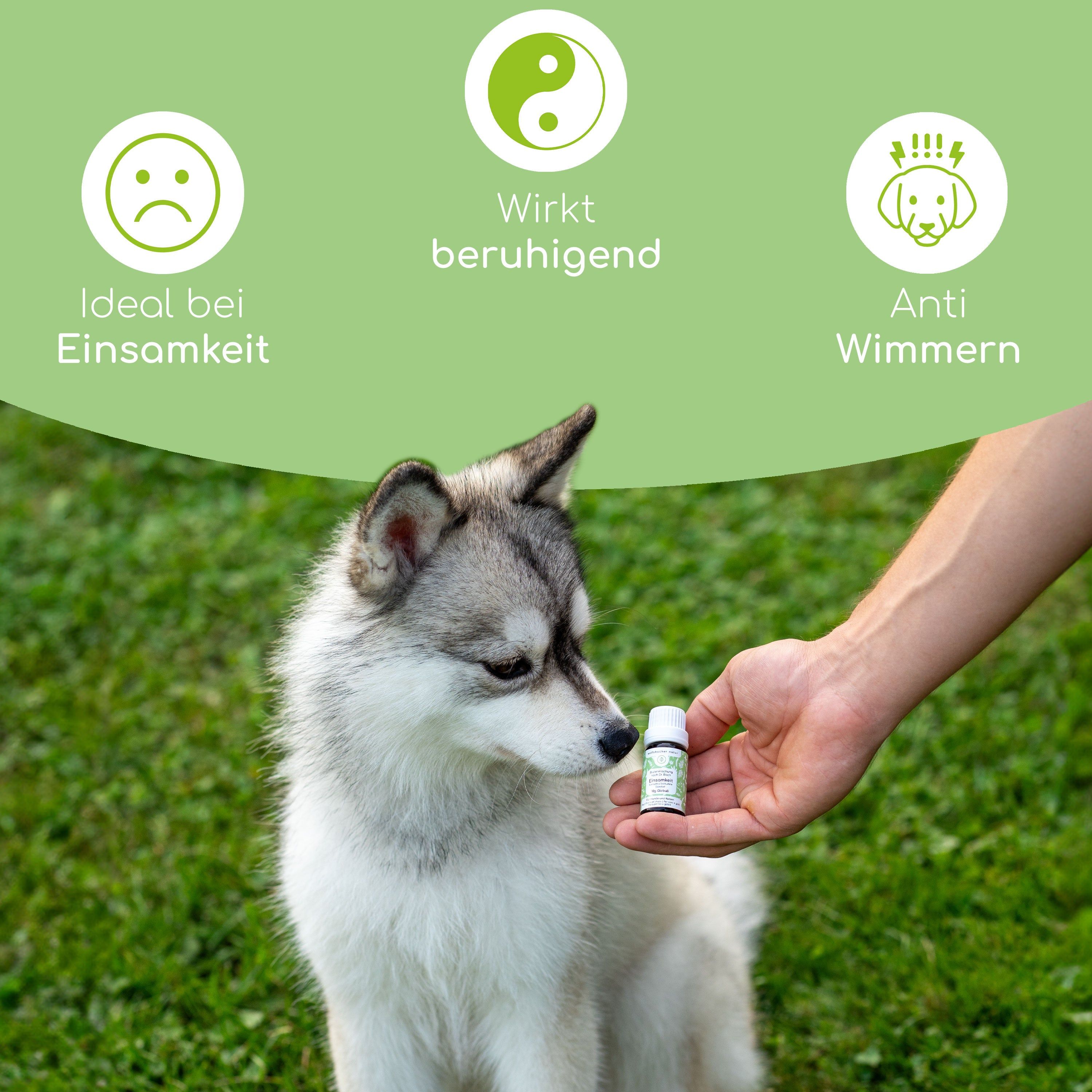 Wolfsbacher Natur Bachblüten Einsamkeit