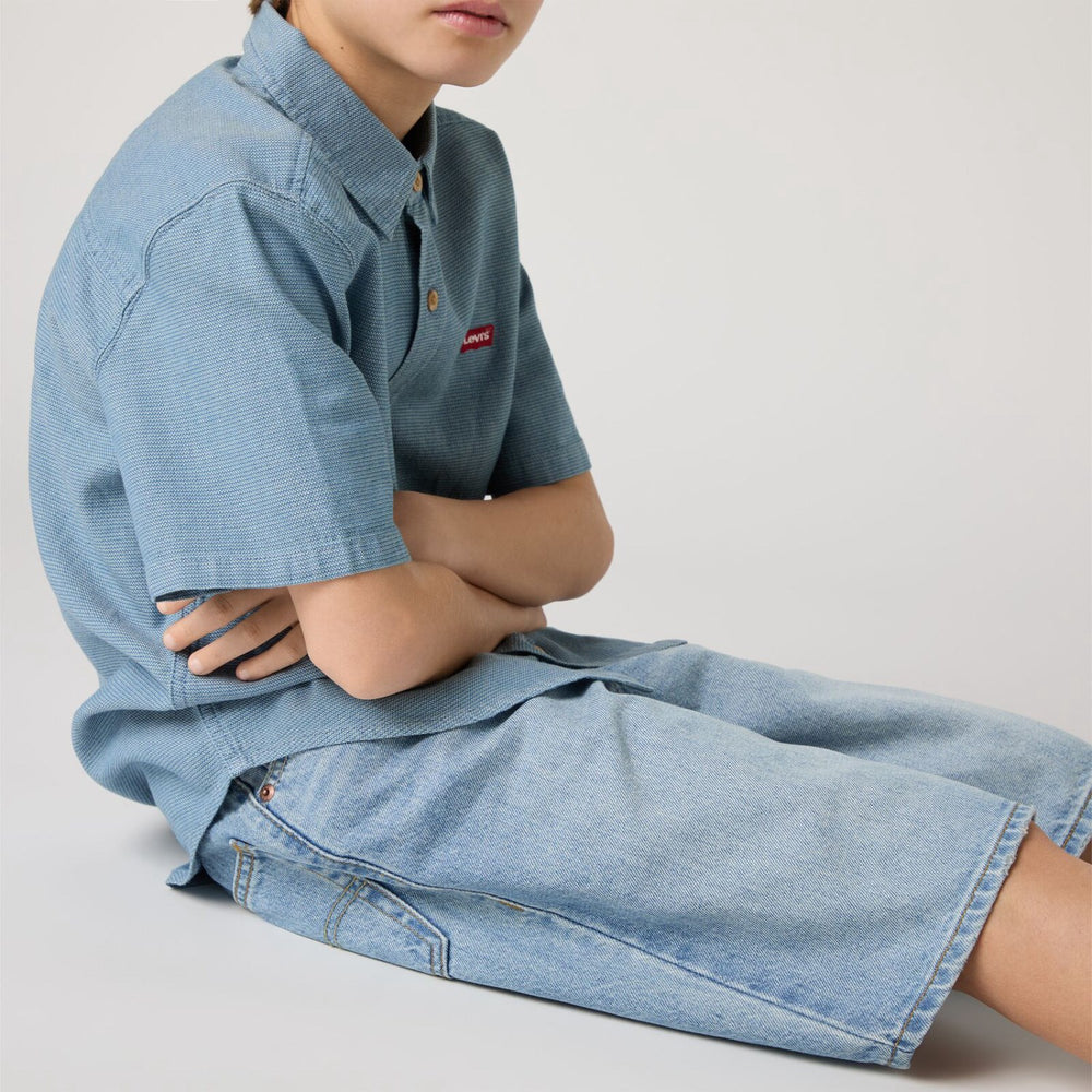 Køb Levi's From Scratch No Destruction Lvb Skate Shorts