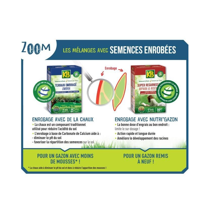 Semences gazon kregfac100 - super regarnissant 2 kg - pour terrains ombragés - germination rapide 7 jours - pour 100m²