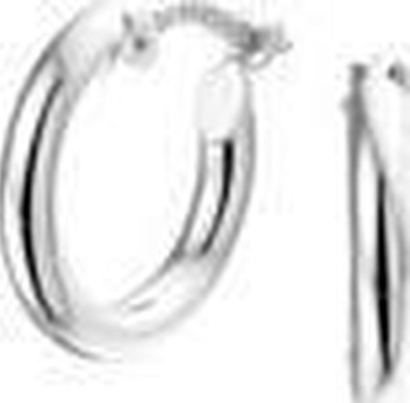 TFT - Oorringen Ronde Buis - Witgoud Glanzend - 2,5 mm x 15 mm