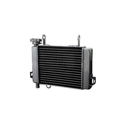 Radiateur Brazoline A EAU ADAPTABLE