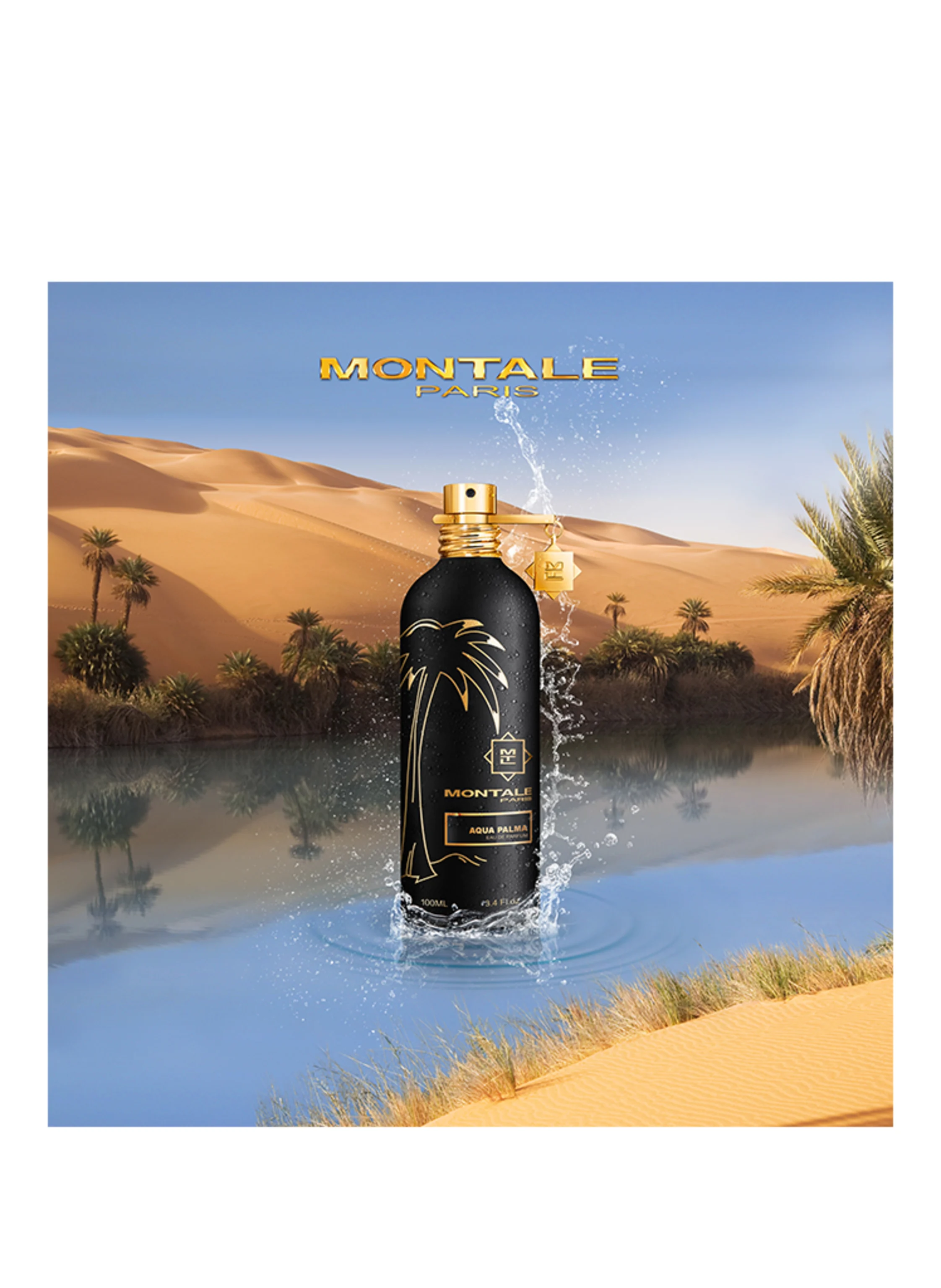 MONTALE AQUA PALMA
