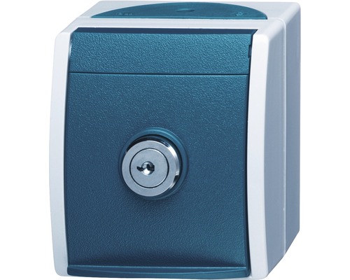 Busch-Jaeger 20 EWSL-53 Opbouw, afsluitbaar, IP44, lichtgrijs/blauwgroen Ocean met slot