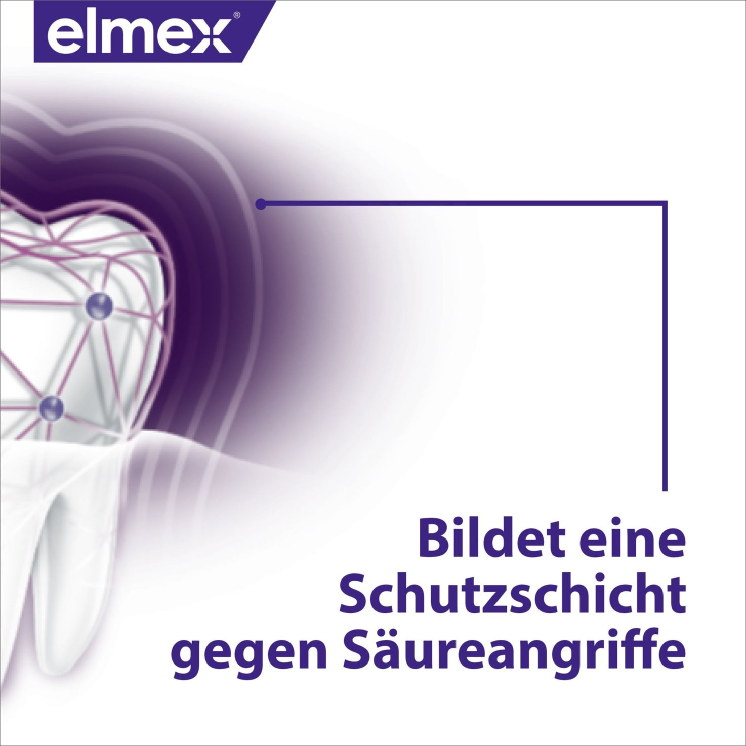 elmex Opti-schmelz Professional Versiegelung & Stärkung Mundspülung