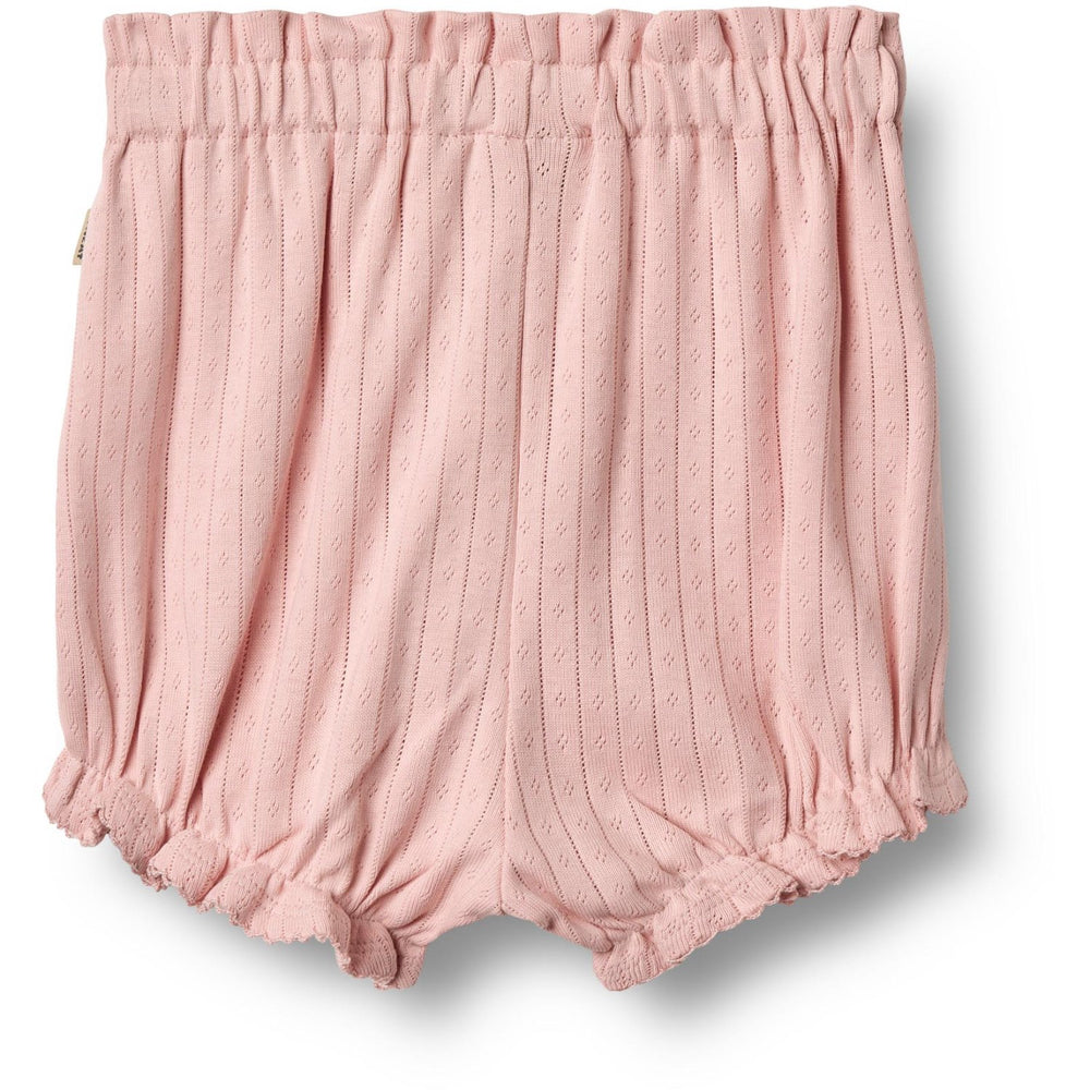 Køb Wheat Rose Sprinkle Jersey Shorts Lace Sonja
