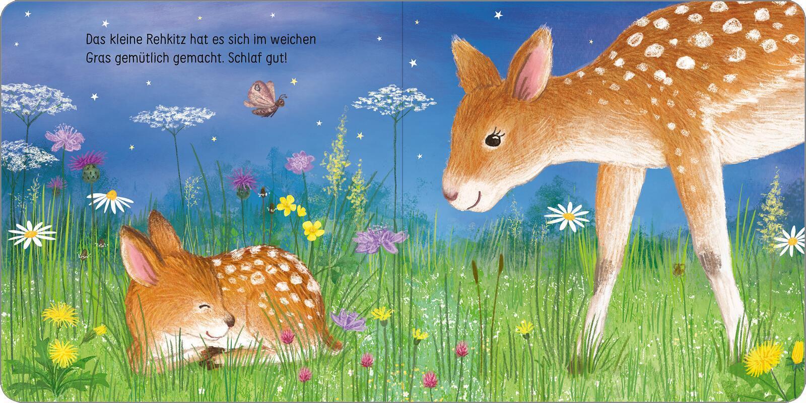 Schlaf gut, kleine Eule!