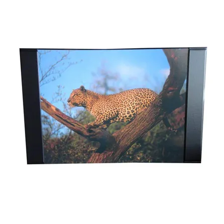 Loer & Schäfer Schreibtischunterlage mit Leopard 68 x 44 cm